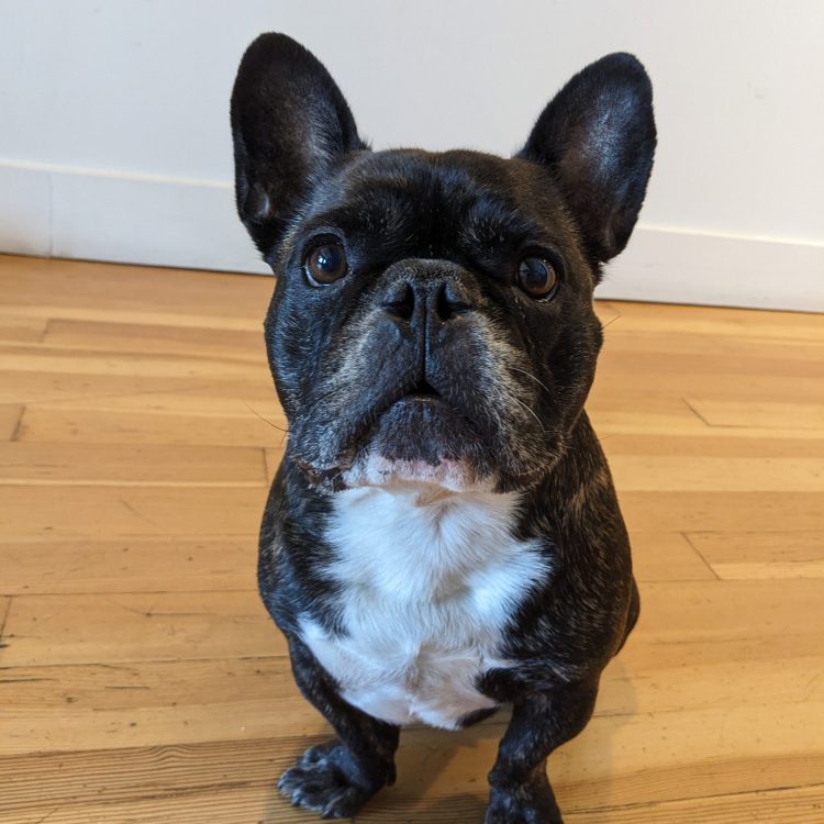 Ed